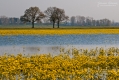 017_Biebrza - kwiecien 2010